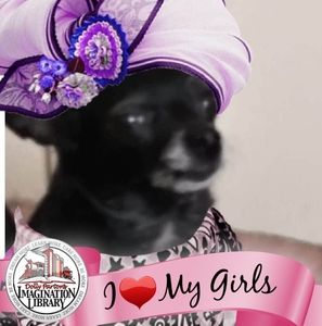 Meet your Posher, Brinda gail